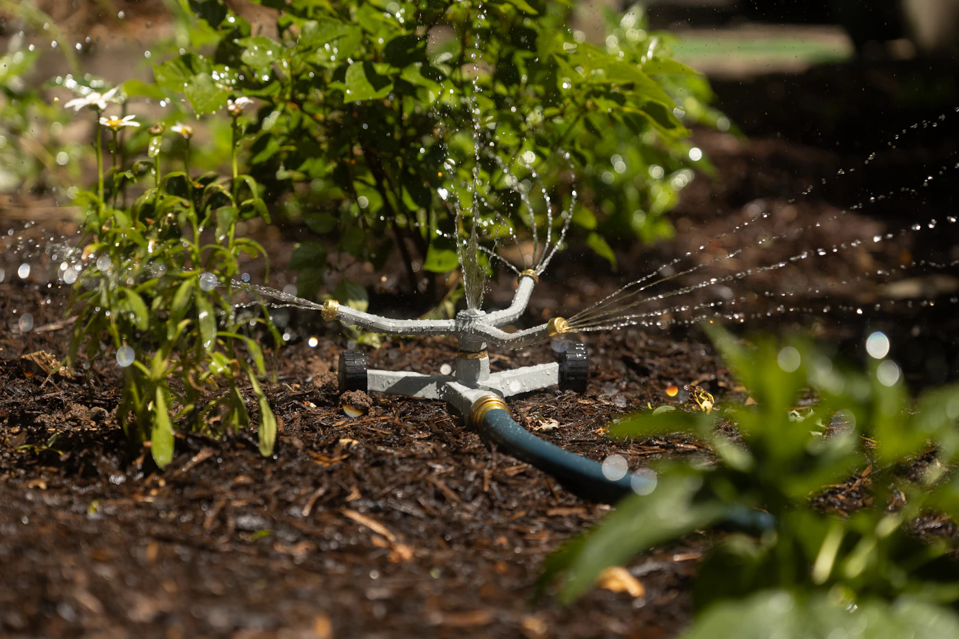 Editorial image for How To Get Better Results From Watering Outdoor Plants Efficiently Without Spending More