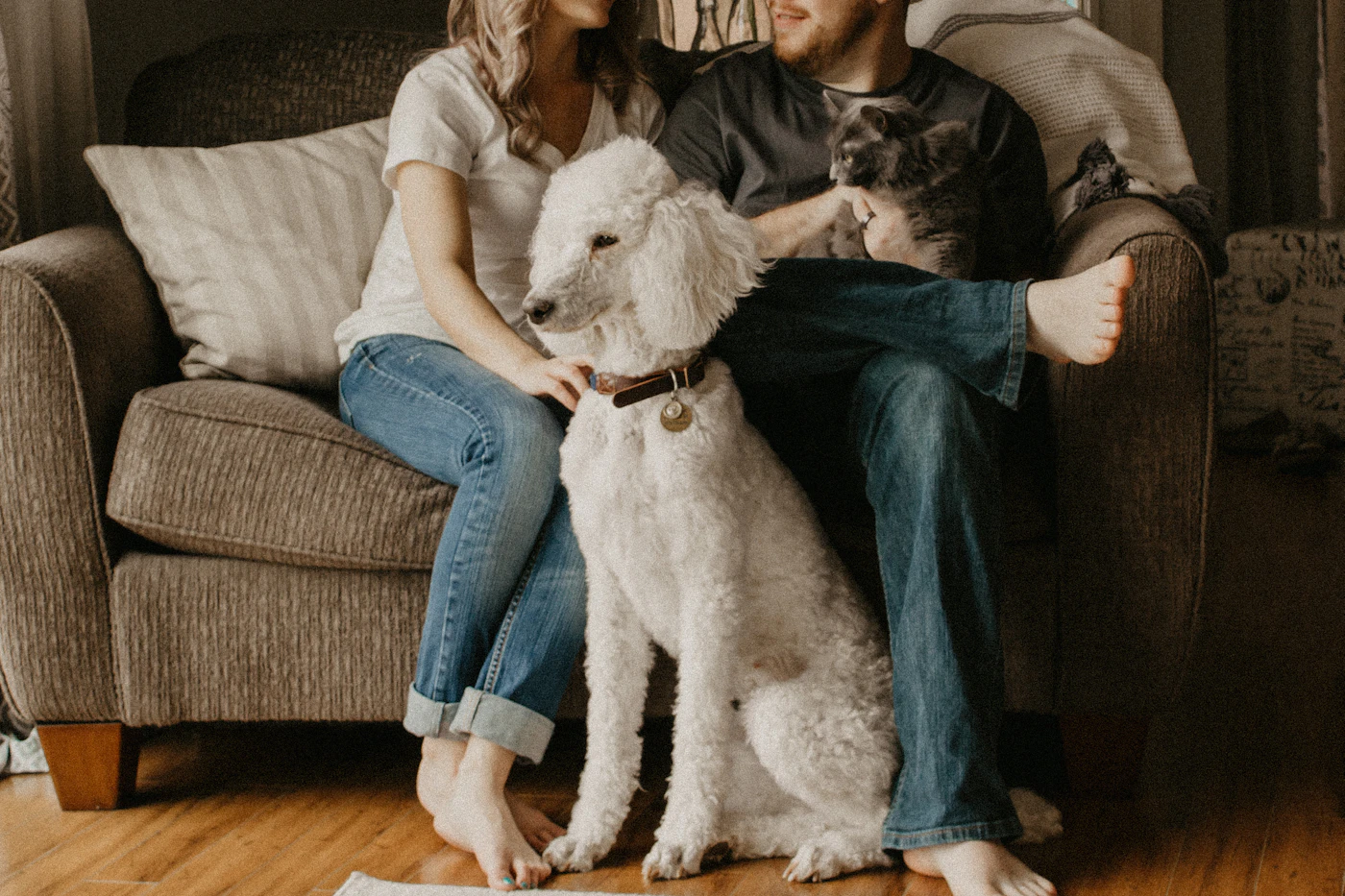 Editorial image for A Realistic Routine For Reducing Pet Odors In Shared Spaces That Is Easy To Maintain