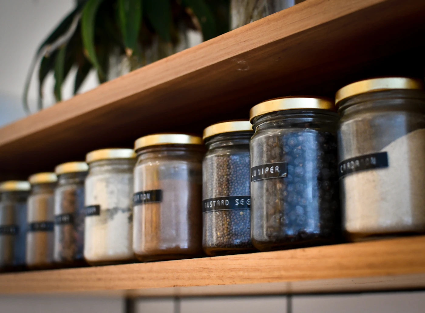 Editorial image for Early Problems To Watch For When Keeping Spices Useful And Organized