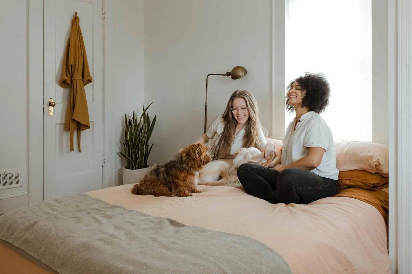 Editorial image for Common Mistakes People Make With Reducing Pet Odors In Shared Spaces And What To Do Instead