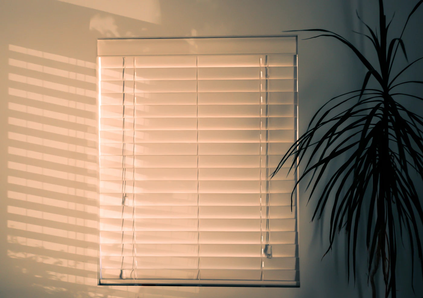 Editorial image for Common Mistakes People Make With Cleaning Blinds And Window Treatments And What To Do Instead