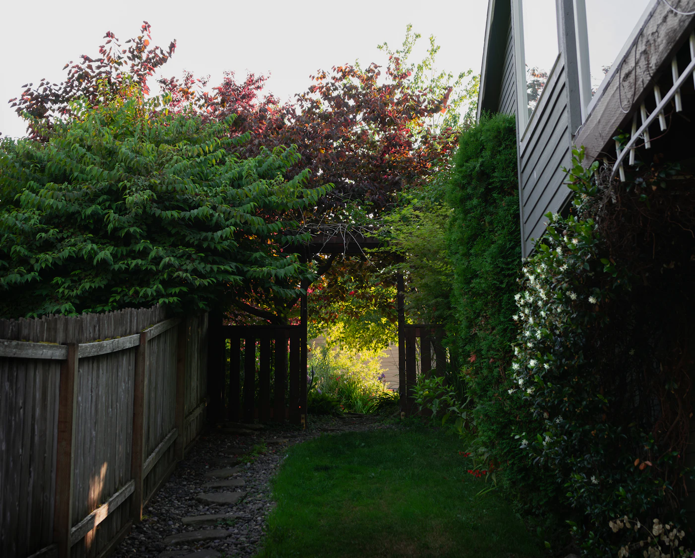 Editorial image for A Practical, No-Nonsense Guide To Improving A Shaded Yard