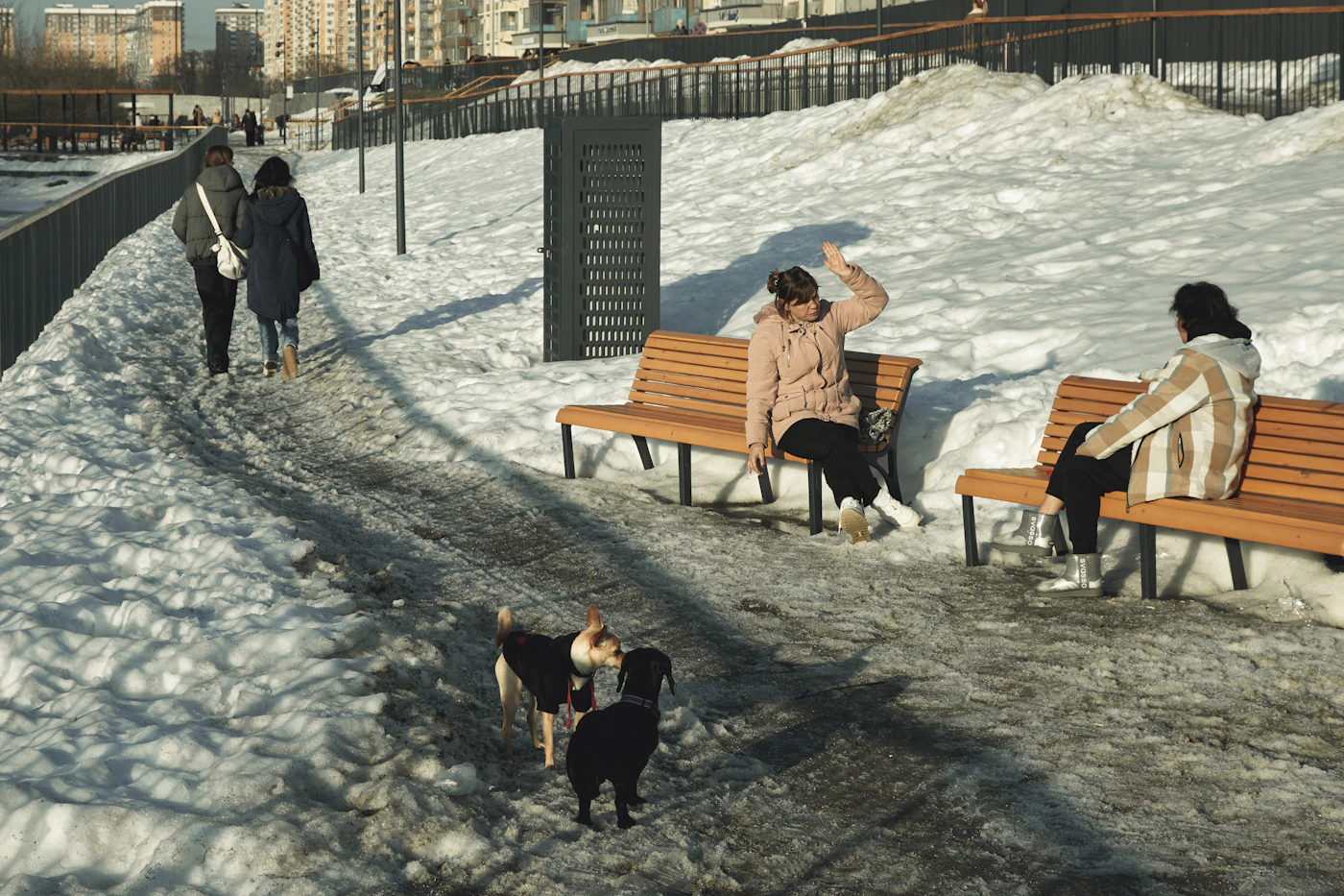 Editorial image for Early Problems To Watch For When Preparing A Dog For Seasonal Weather Changes