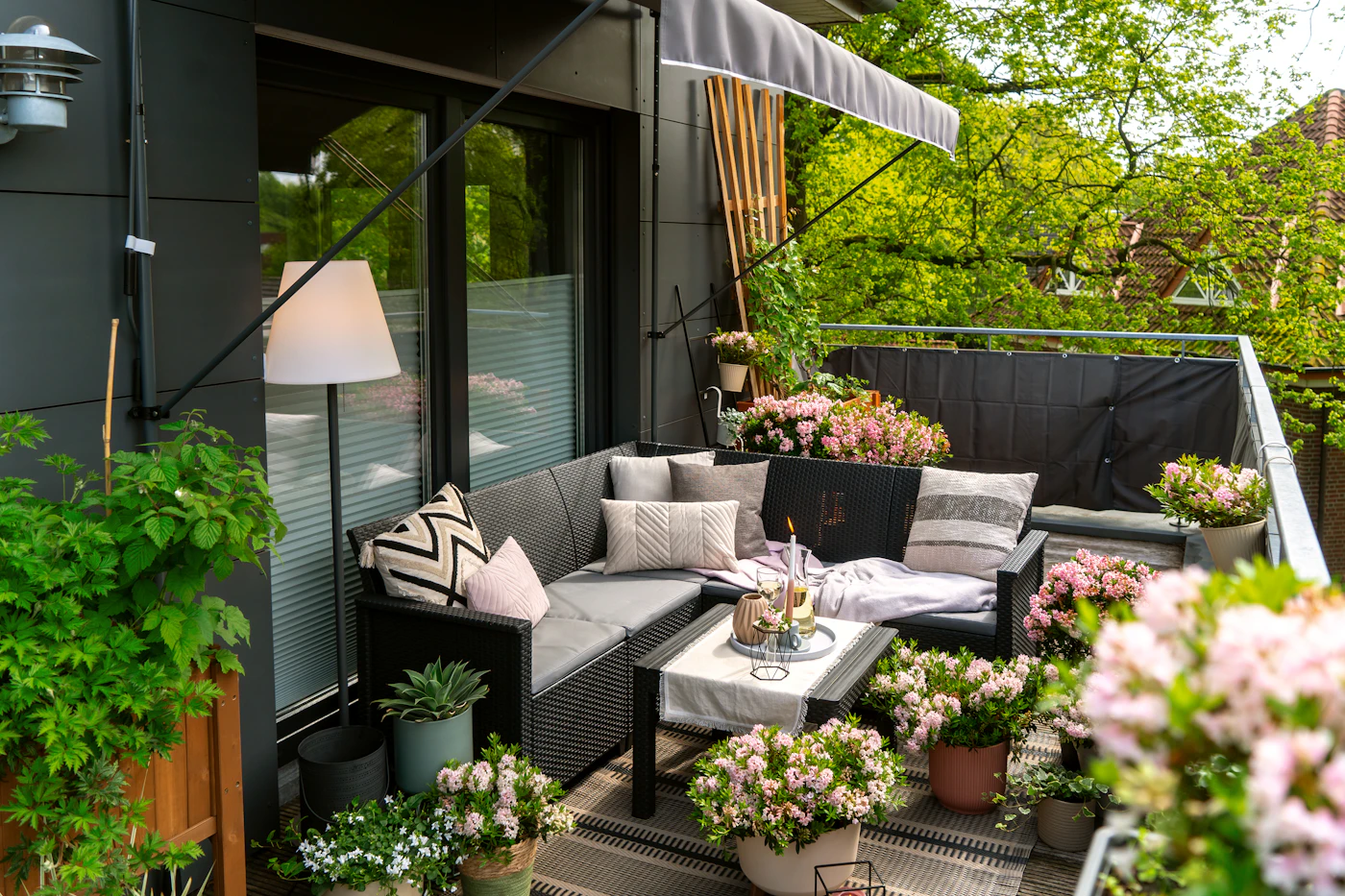 Editorial image for A Beginner-Friendly Approach To Starting A Balcony Garden That Avoids Costly Errors