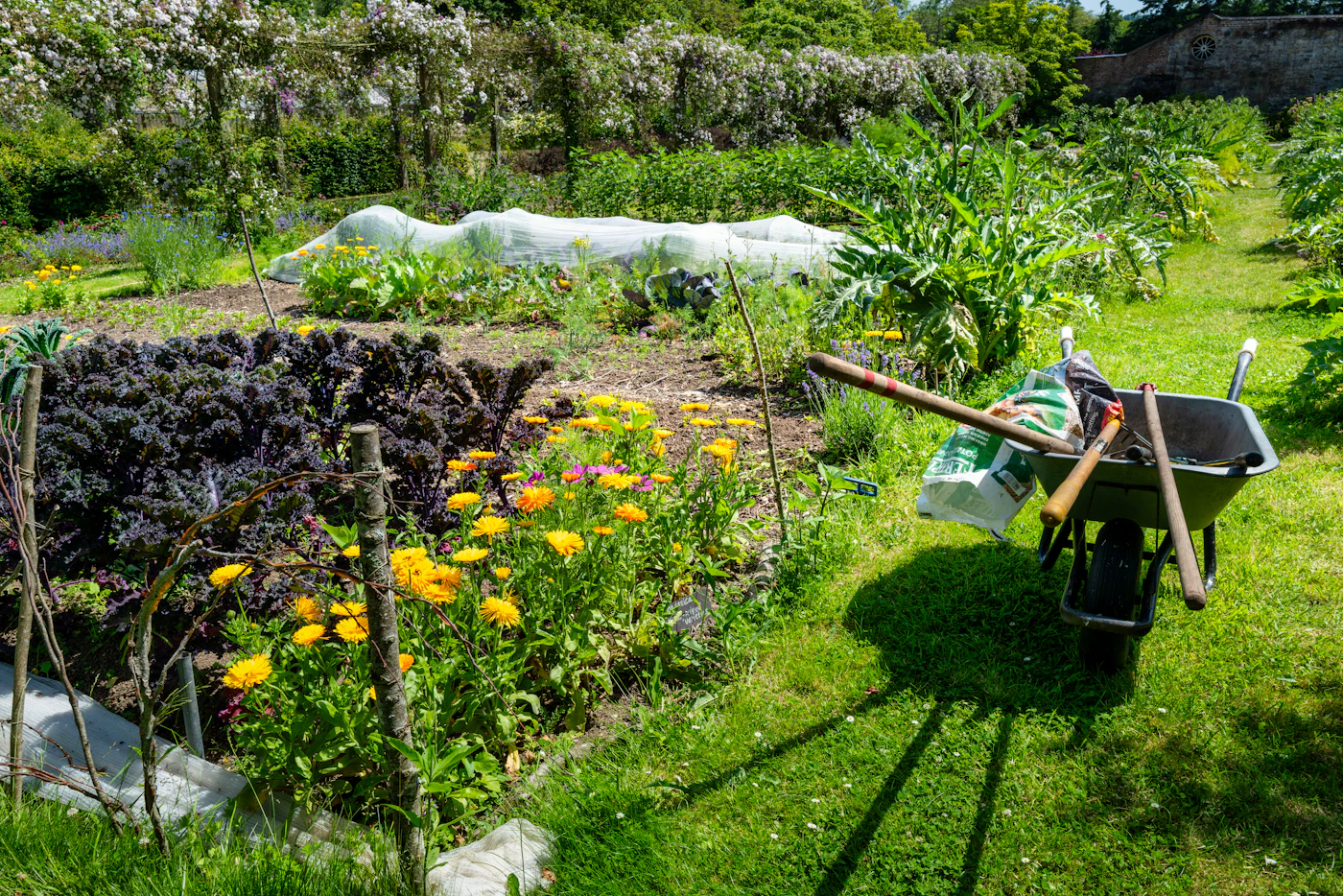 Editorial image for Common Mistakes People Make With Preparing Garden Beds For A New Season And What To Do Instead