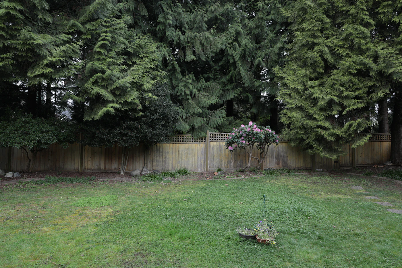 Editorial image for Why Reducing Standing Water Around A Home Goes Wrong And How To Fix The Usual Problems