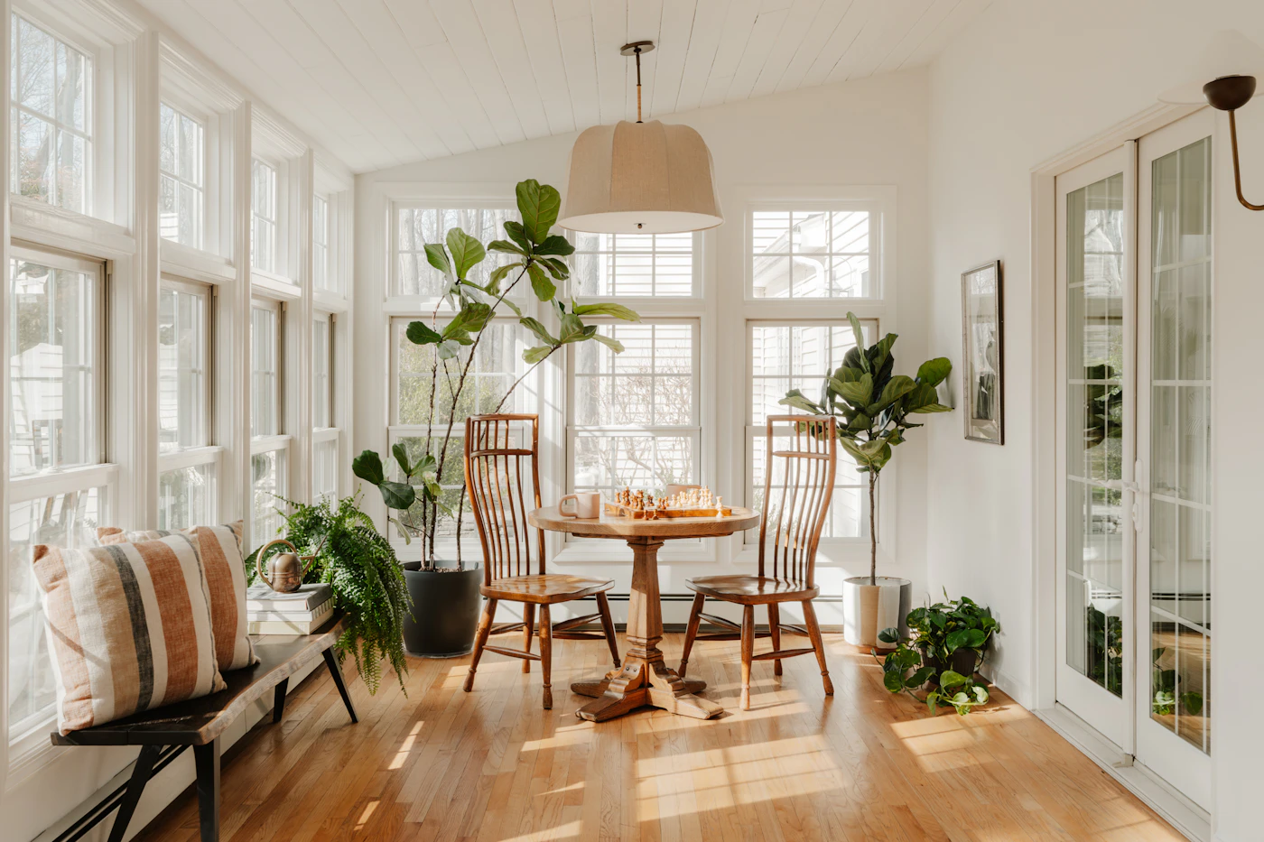 Editorial image for How To Get Better Results From Keeping Houseplants Healthy Without Spending More