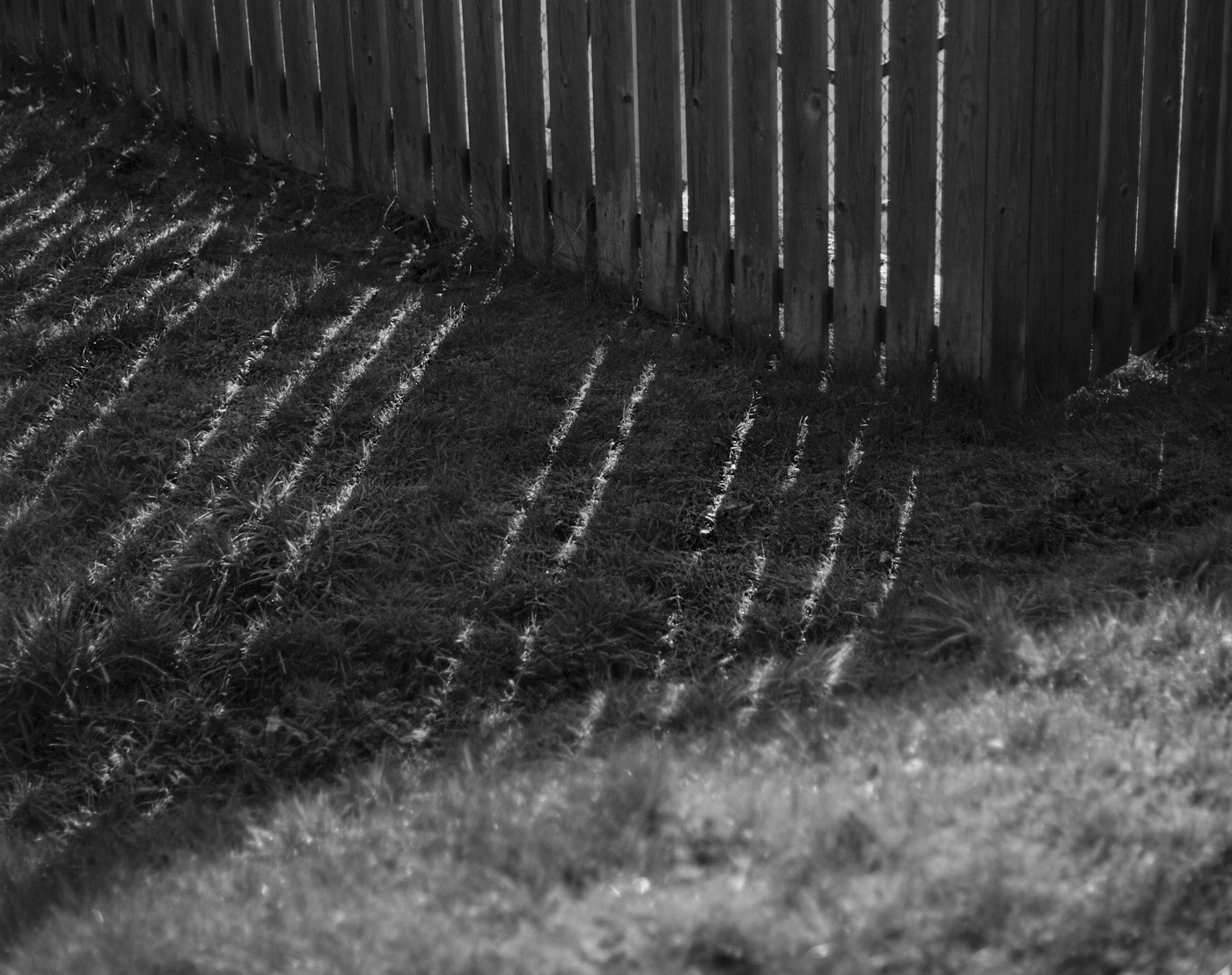 Editorial image for What To Know Before You Start Reducing Standing Water Around A Home