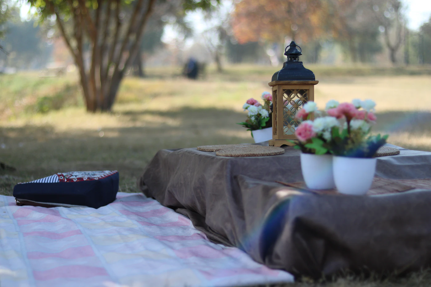 Editorial image for What To Know Before You Start Setting Up A Comfortable Picnic