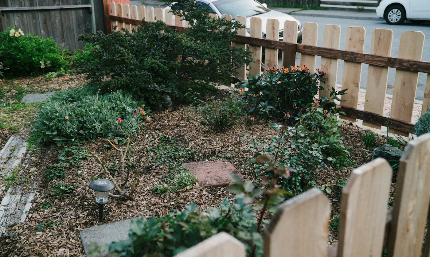 Editorial image for How To Get Better Results From Creating Privacy In A Small Yard Without Spending More