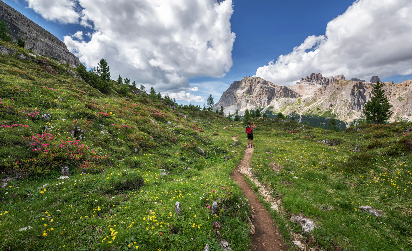 Editorial image for A Beginner-Friendly Approach To Choosing A Comfortable Day Hike That Avoids Costly Errors