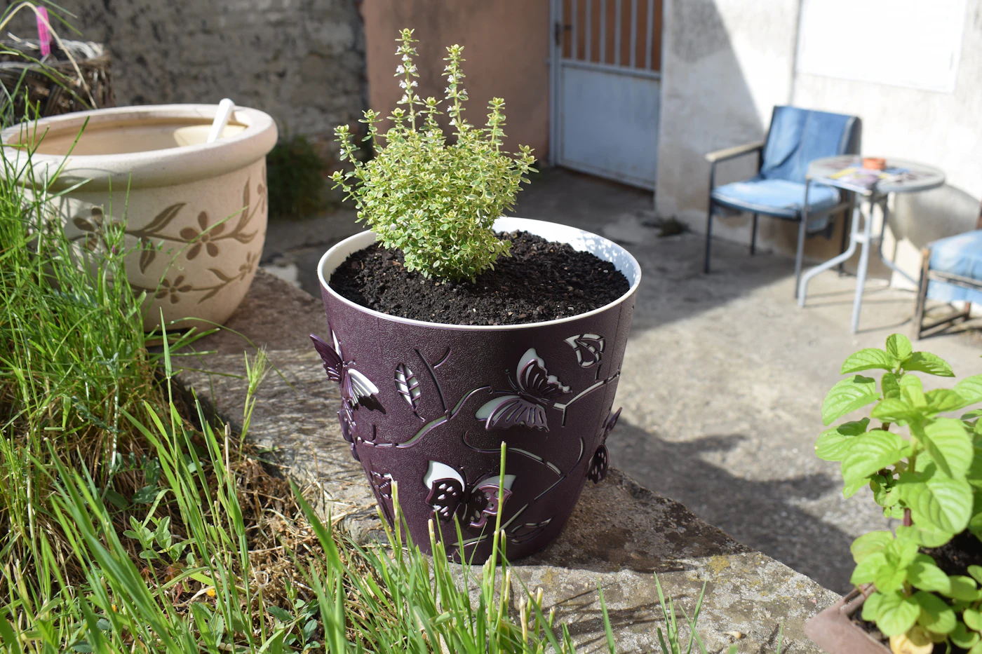Editorial image for How To Handle Growing Herbs In Containers When Space Is Limited