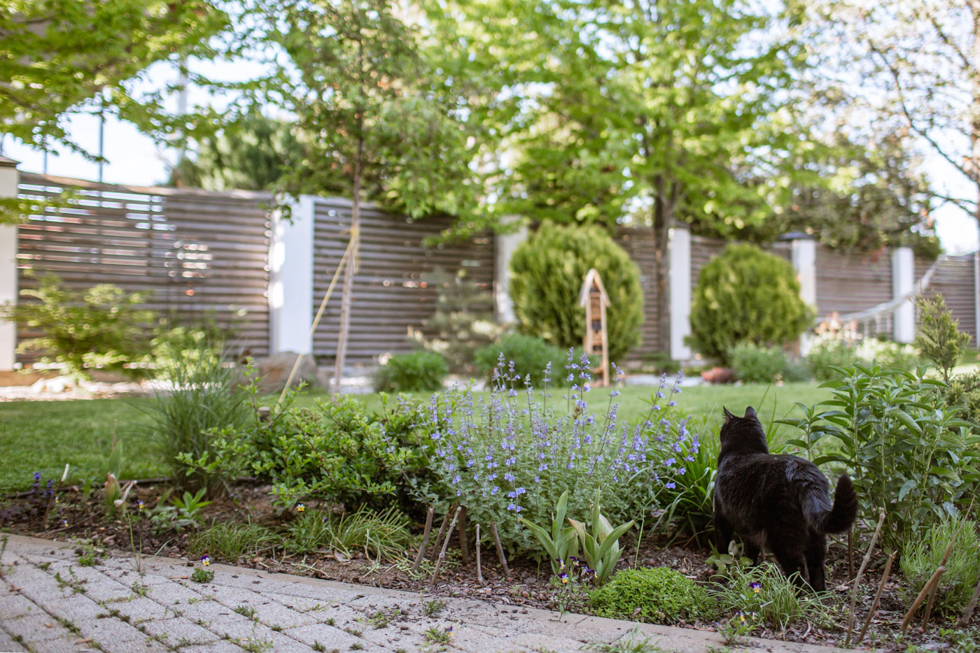 Editorial image for A Practical, No-Nonsense Guide To Planning A Low-Maintenance Garden