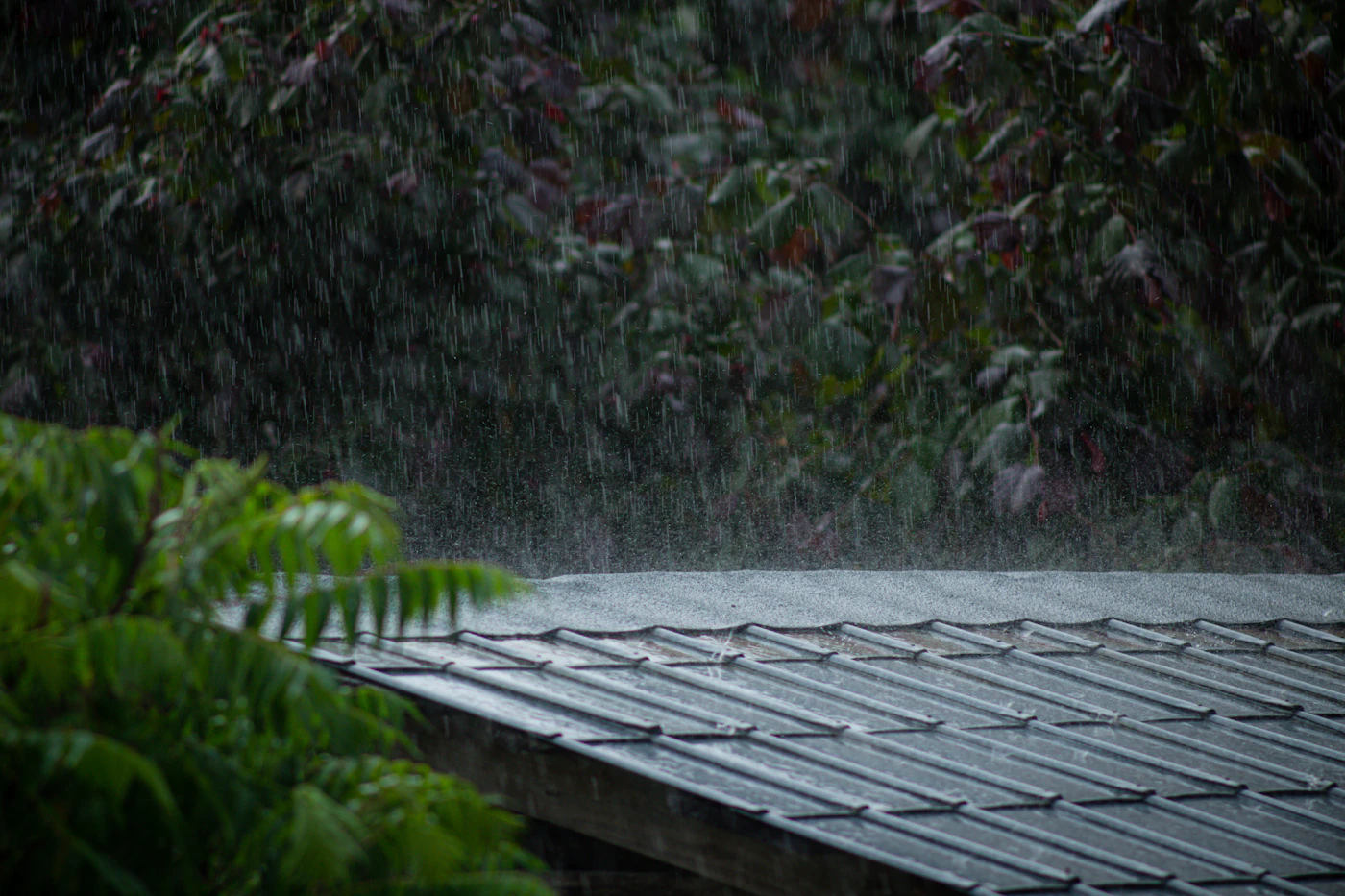 Editorial image for The Everyday Checklist That Takes The Guesswork Out Of Preparing A Home For Heavy Rain