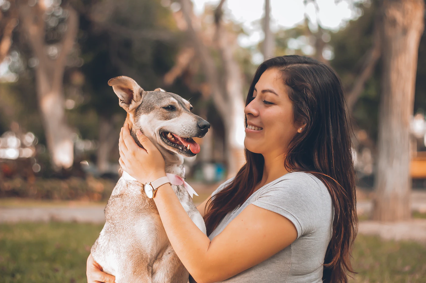 Editorial image for What To Know Before You Start Preparing For A Pet Sitter
