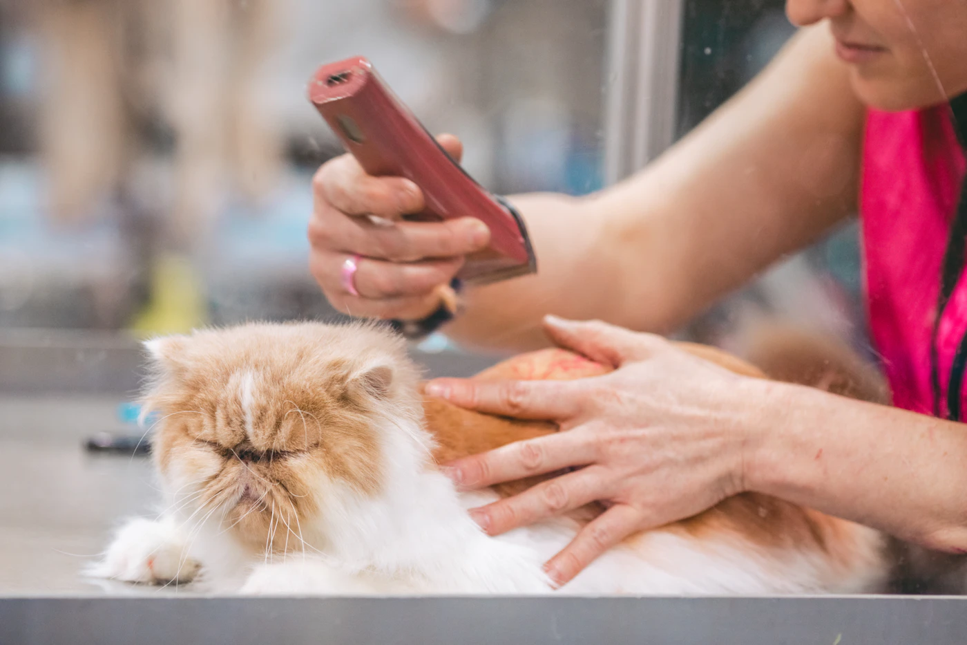 Editorial image for Small Habits That Make A Noticeable Difference In Making Nail-Trimming Preparation Less Stressful