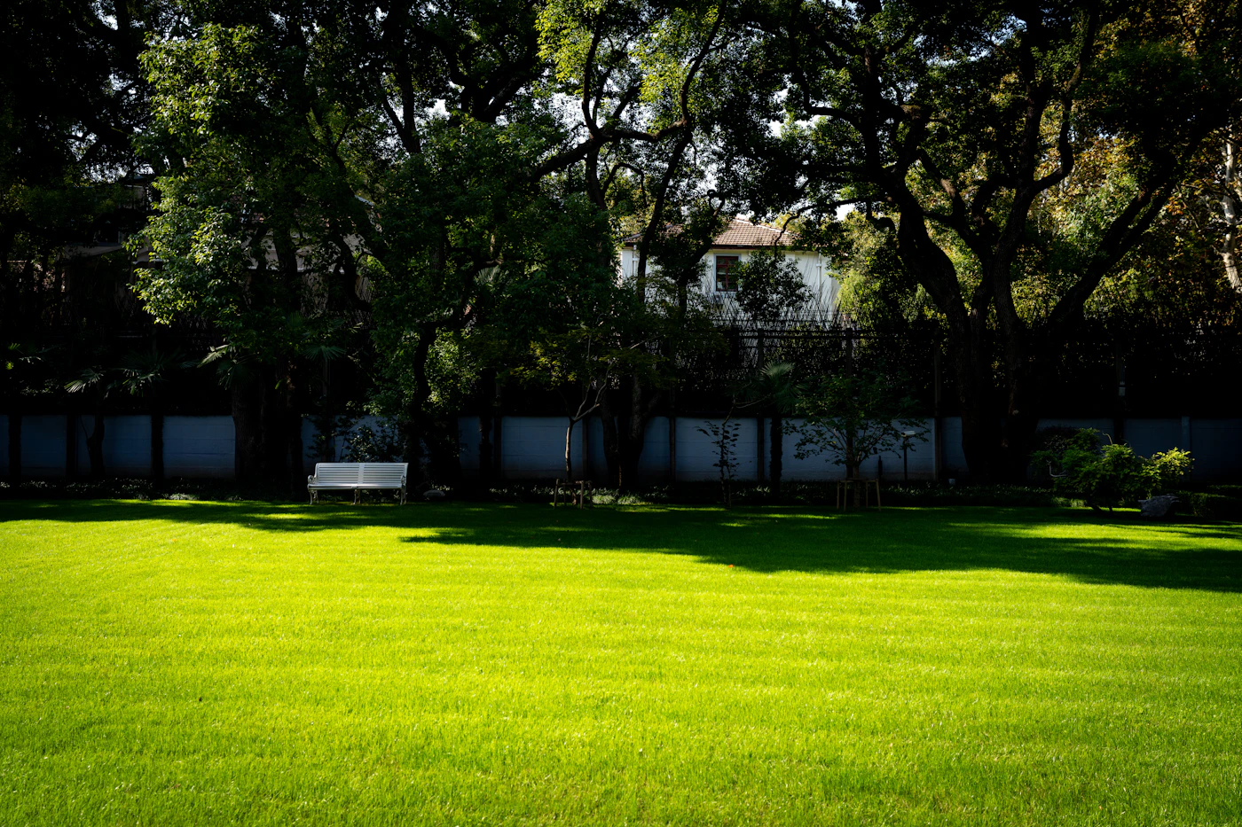 Editorial image for How To Get Better Results From Improving A Shaded Yard Without Spending More