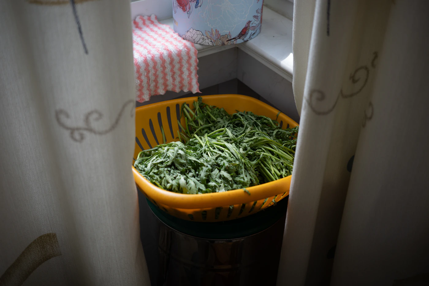 Editorial image for A Practical, No-Nonsense Guide To Storing Fresh Herbs