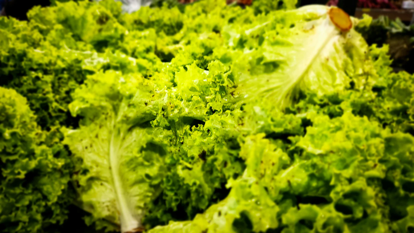 Editorial image for Common Mistakes People Make With Keeping Leafy Greens Fresh And What To Do Instead
