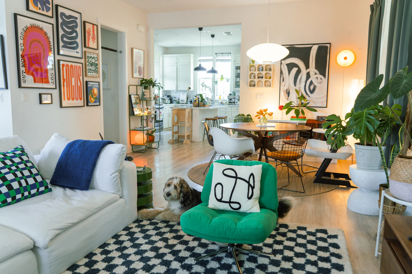 Editorial image for How To Get Better Results From Keeping A Pet-Friendly Home Tidy Without Spending More