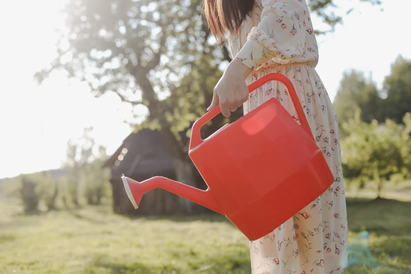 Editorial image for A Season-By-Season Approach To Watering Outdoor Plants Efficiently