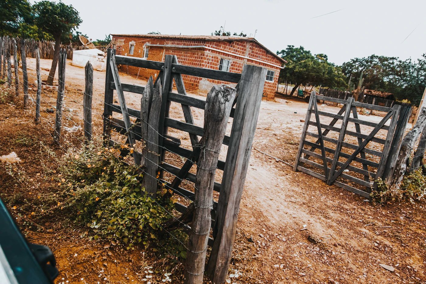 Editorial image for Early Problems To Watch For When Maintaining Fences And Gates