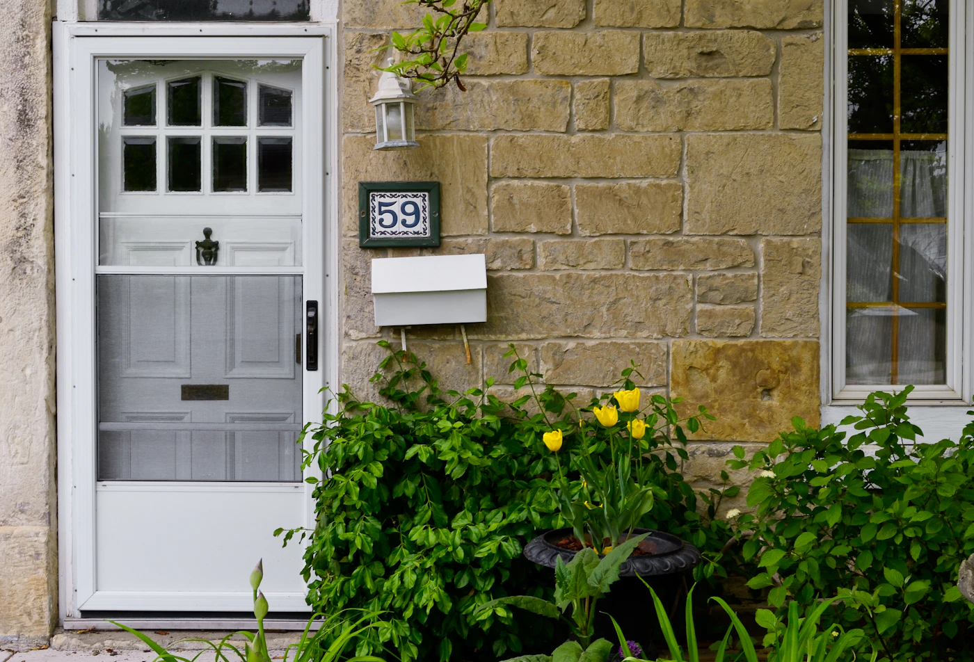Editorial image for How To Get Better Results From Choosing Plants For A Front Entry Without Spending More