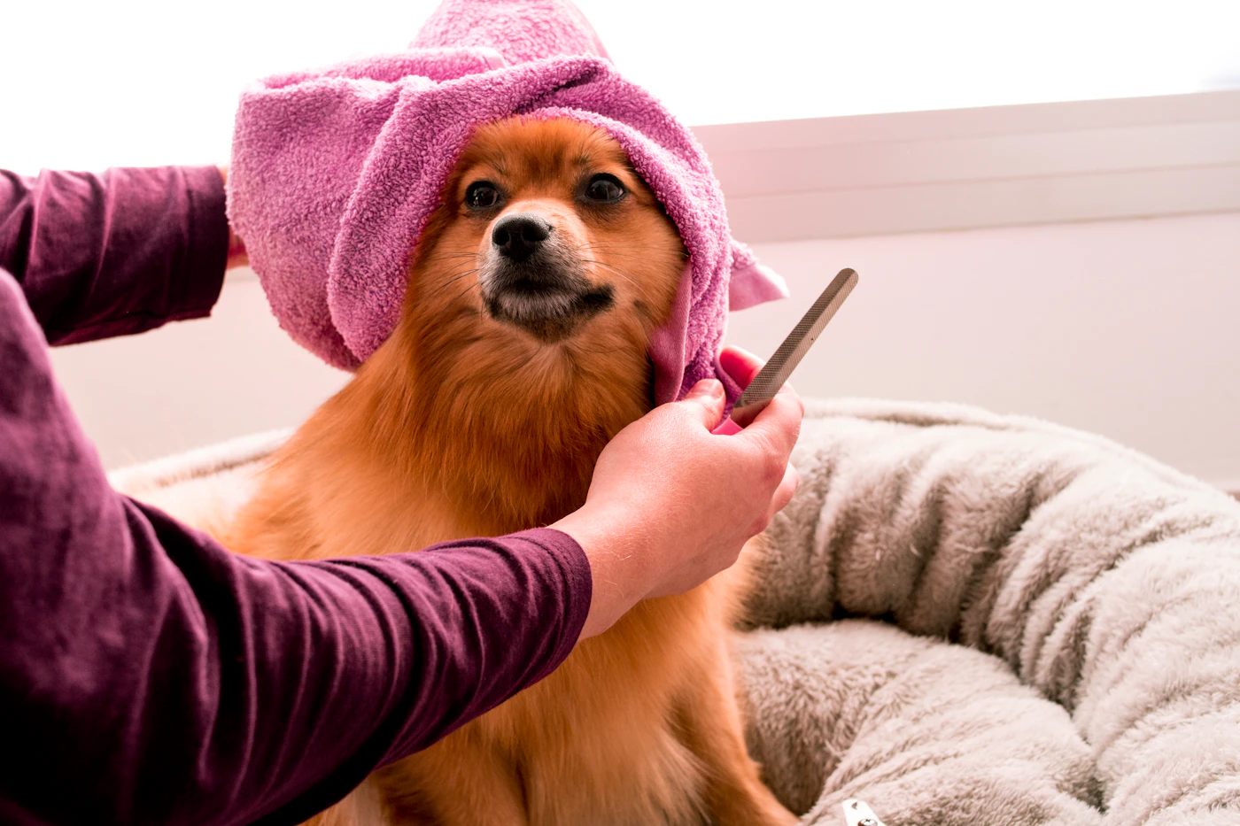 Editorial image for Common Mistakes People Make With Making Nail-Trimming Preparation Less Stressful And What To Do Instead