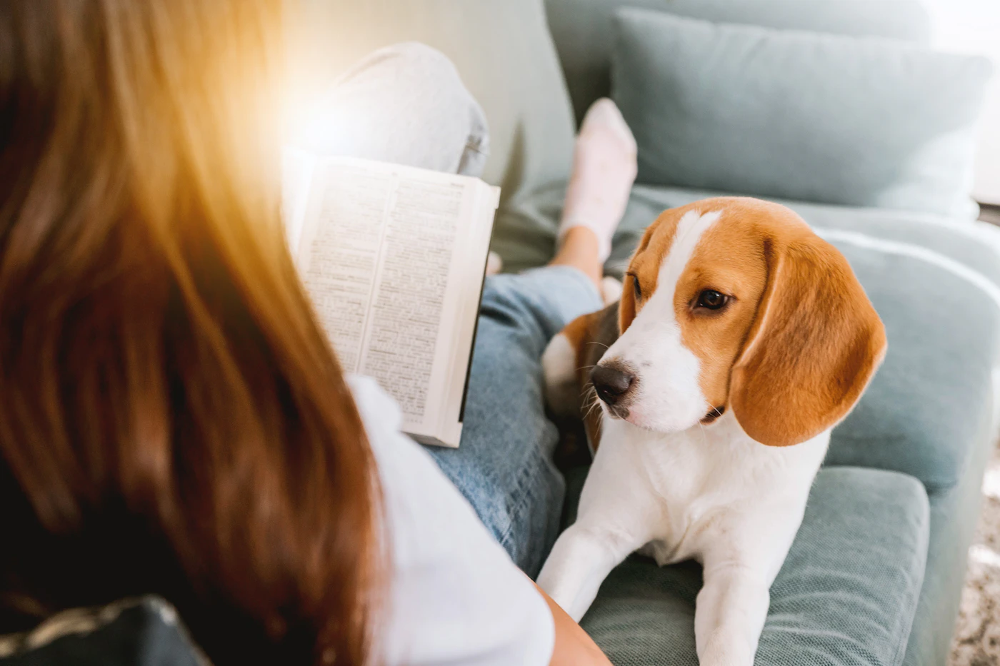 Editorial image for Common Mistakes People Make With Setting Household Rules For A New Puppy And What To Do Instead