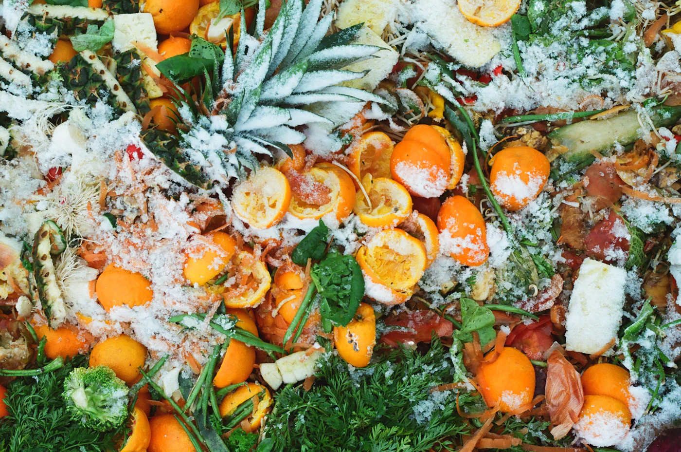 Editorial image for Small Habits That Make A Noticeable Difference In Reducing Food Waste At Home