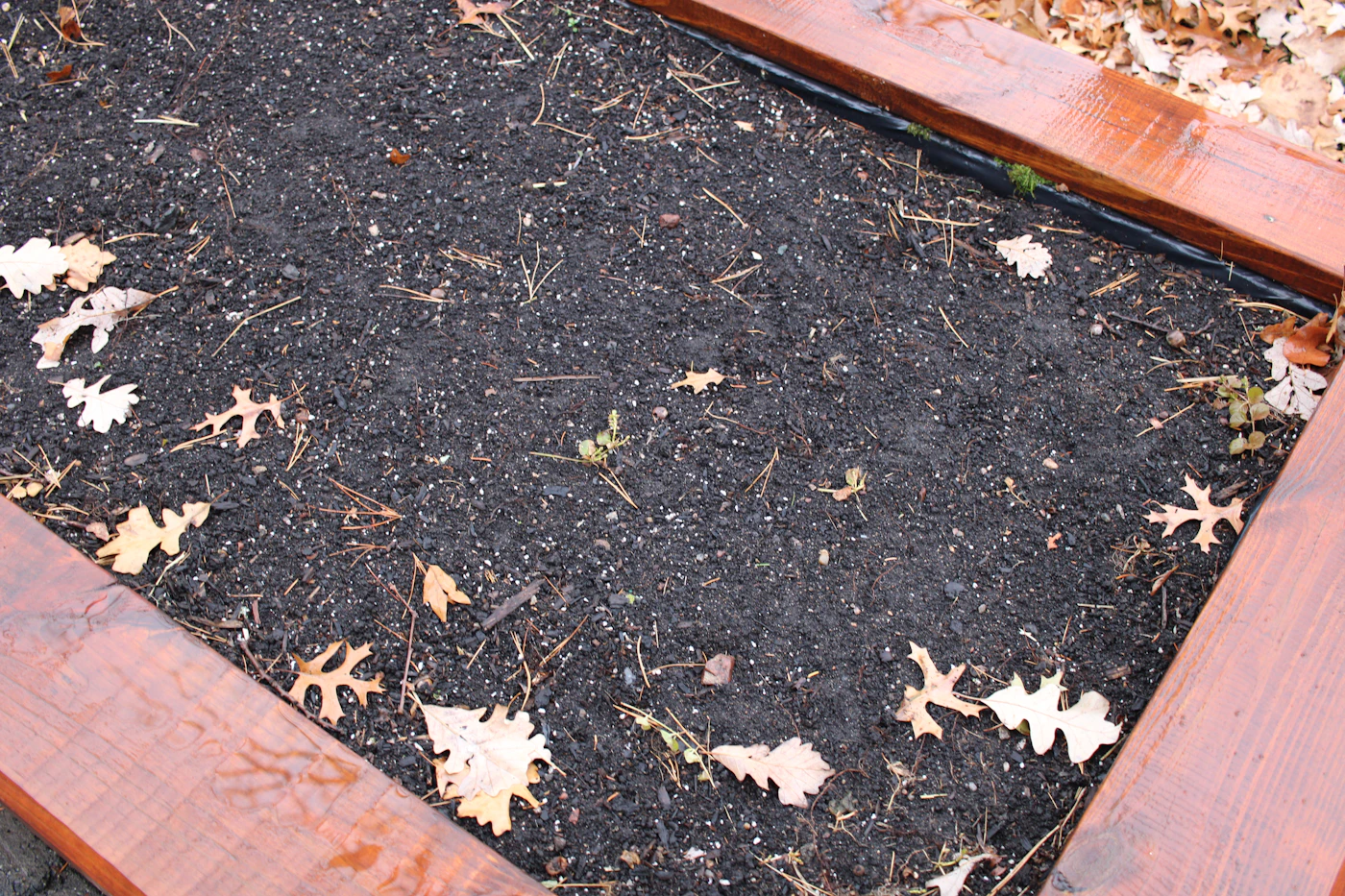 Editorial image for A Season-By-Season Approach To Preparing Garden Beds For A New Season