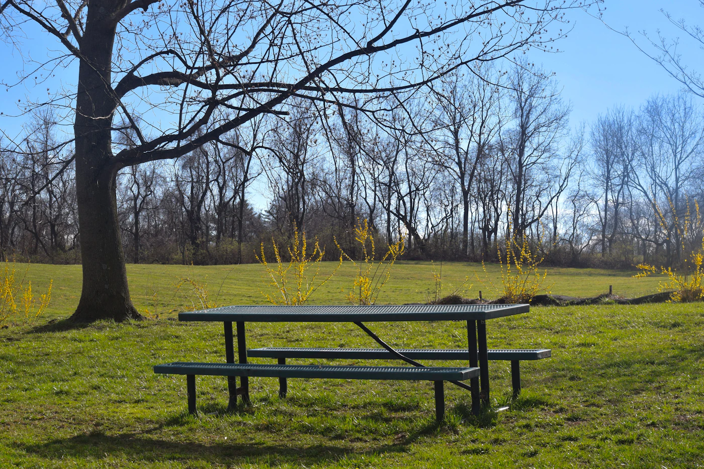 Editorial image for The Everyday Checklist That Takes The Guesswork Out Of Setting Up A Comfortable Picnic