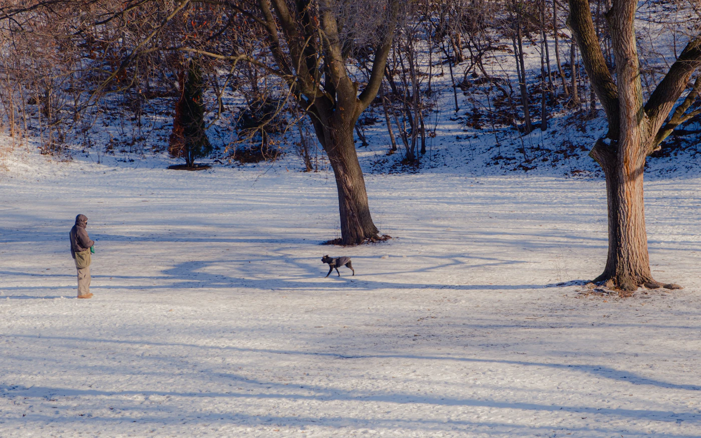 Editorial image for A Season-By-Season Approach To Preparing A Dog For Seasonal Weather Changes