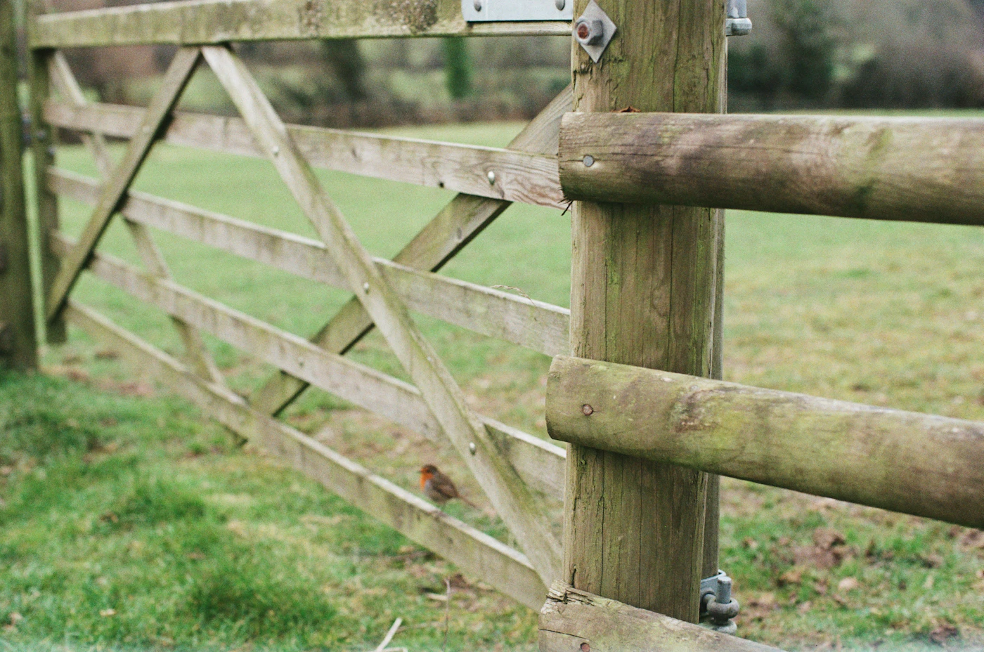 Editorial image for A Realistic Routine For Maintaining Fences And Gates That Is Easy To Maintain