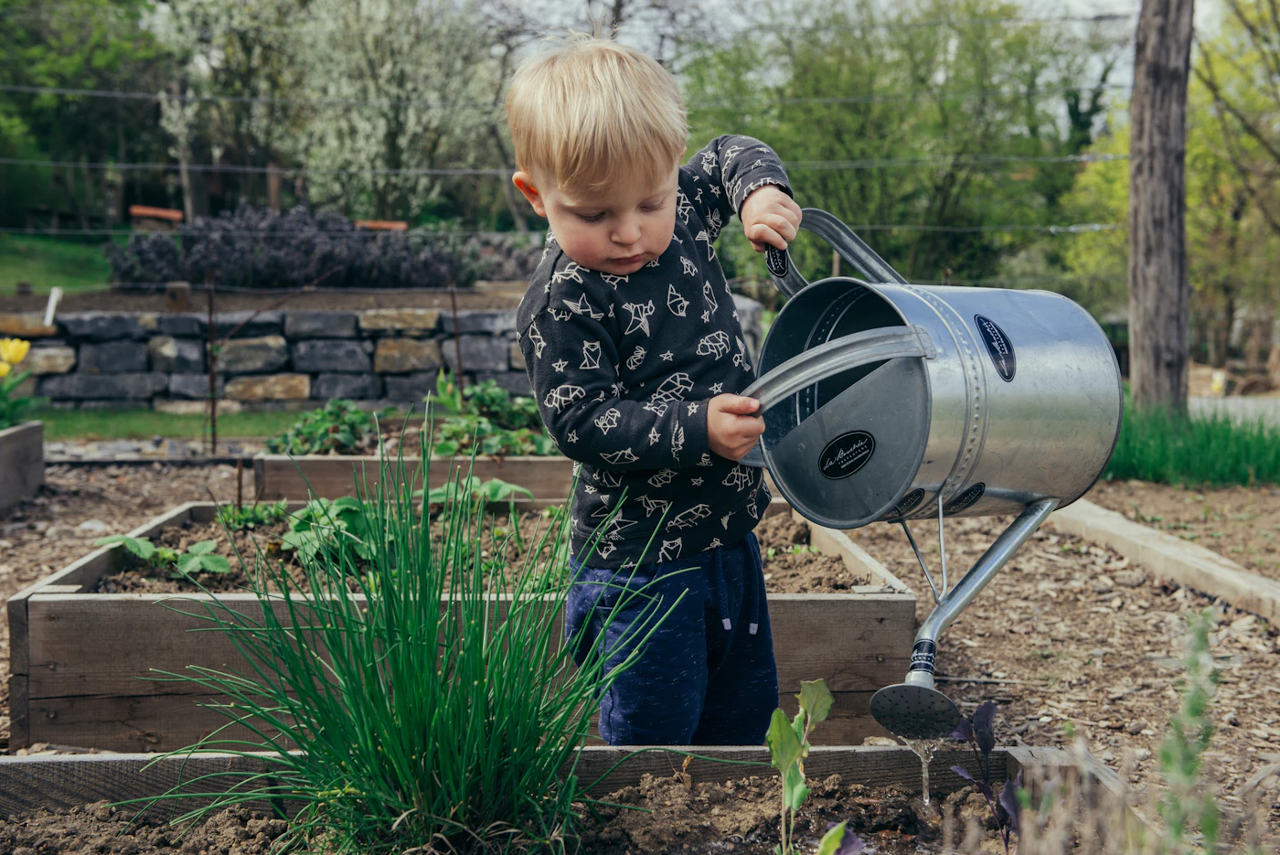 Editorial image for Common Mistakes People Make With Watering Outdoor Plants Efficiently And What To Do Instead