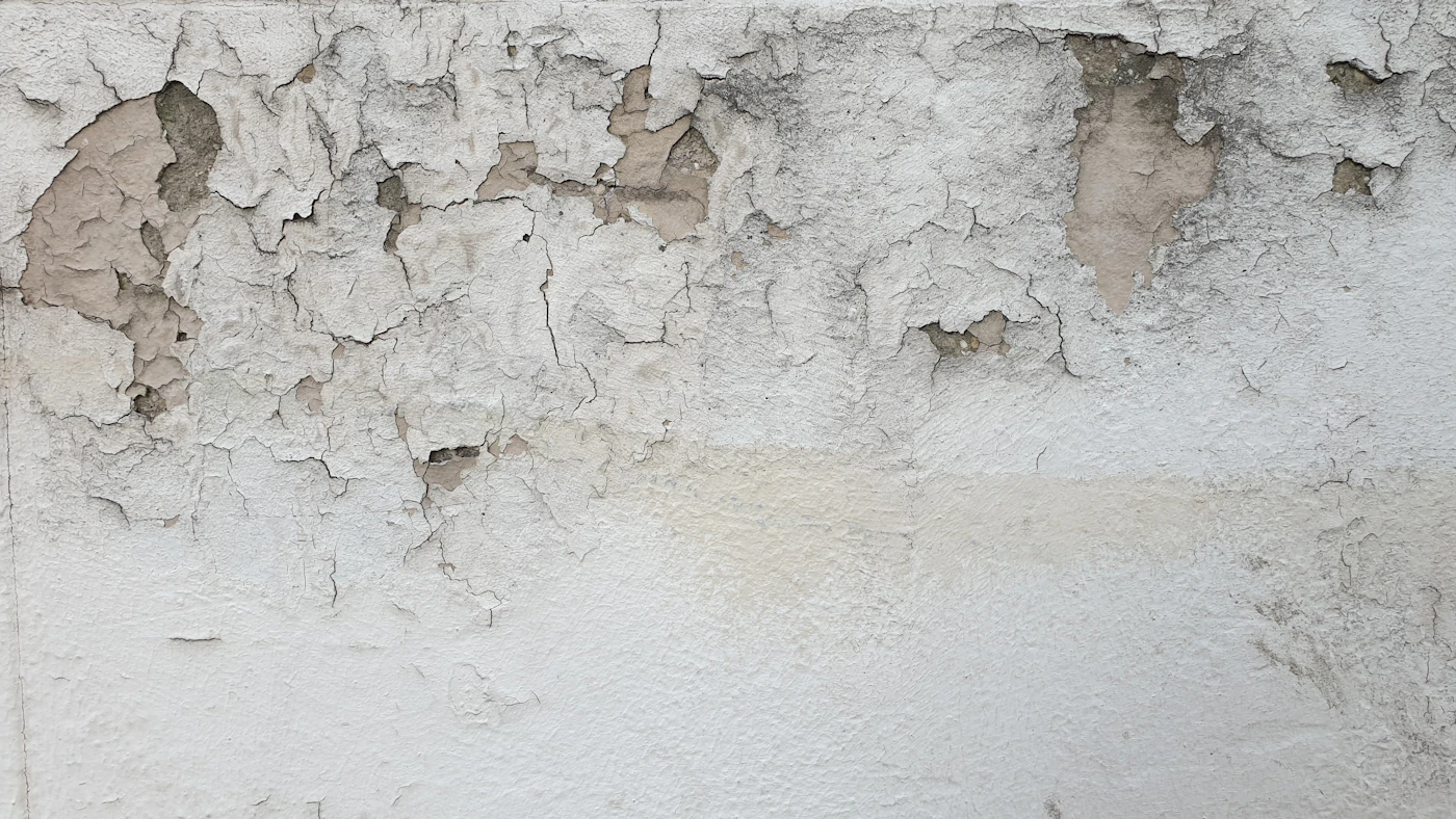 Editorial image for How To Get Better Results From Repairing Minor Wall Holes Without Spending More
