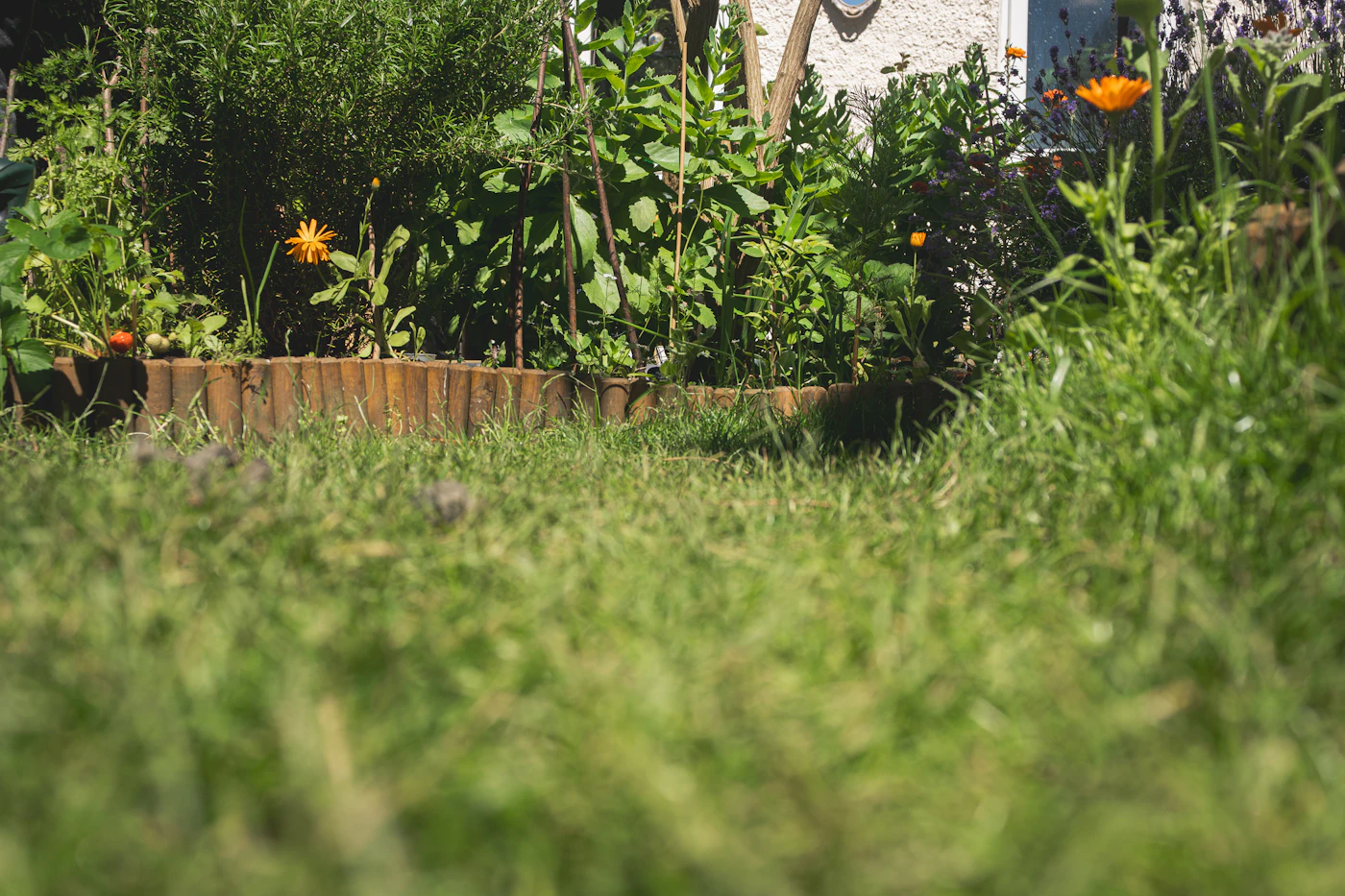Editorial image for A Weekend Plan For Tackling Preparing Garden Beds For A New Season Without Feeling Overwhelmed