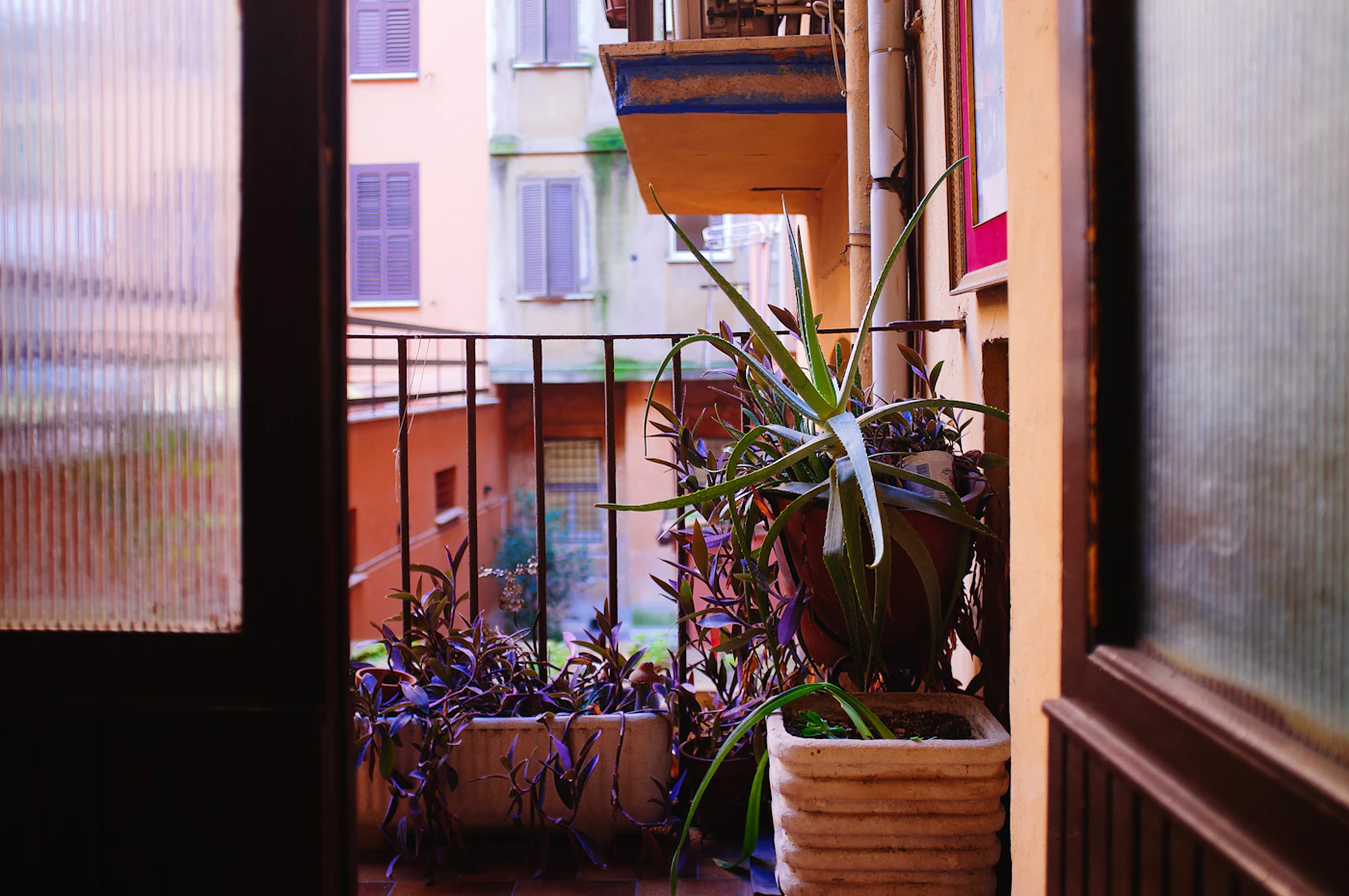 Editorial image for How To Handle Starting A Balcony Garden When Space Is Limited