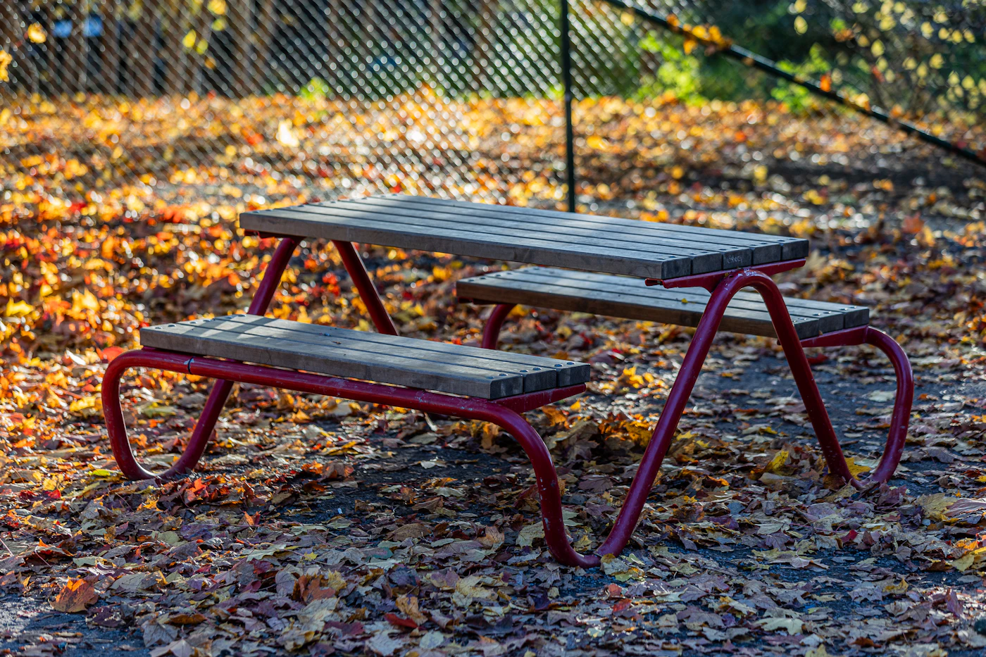 Editorial image for Common Mistakes People Make With Setting Up A Comfortable Picnic And What To Do Instead
