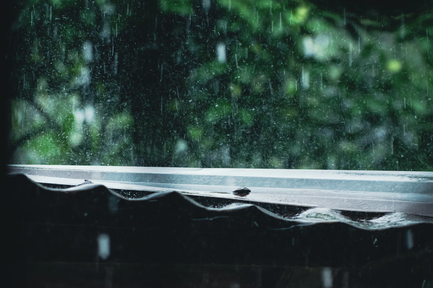Editorial image for A Season-By-Season Approach To Maintaining Rain Gutters