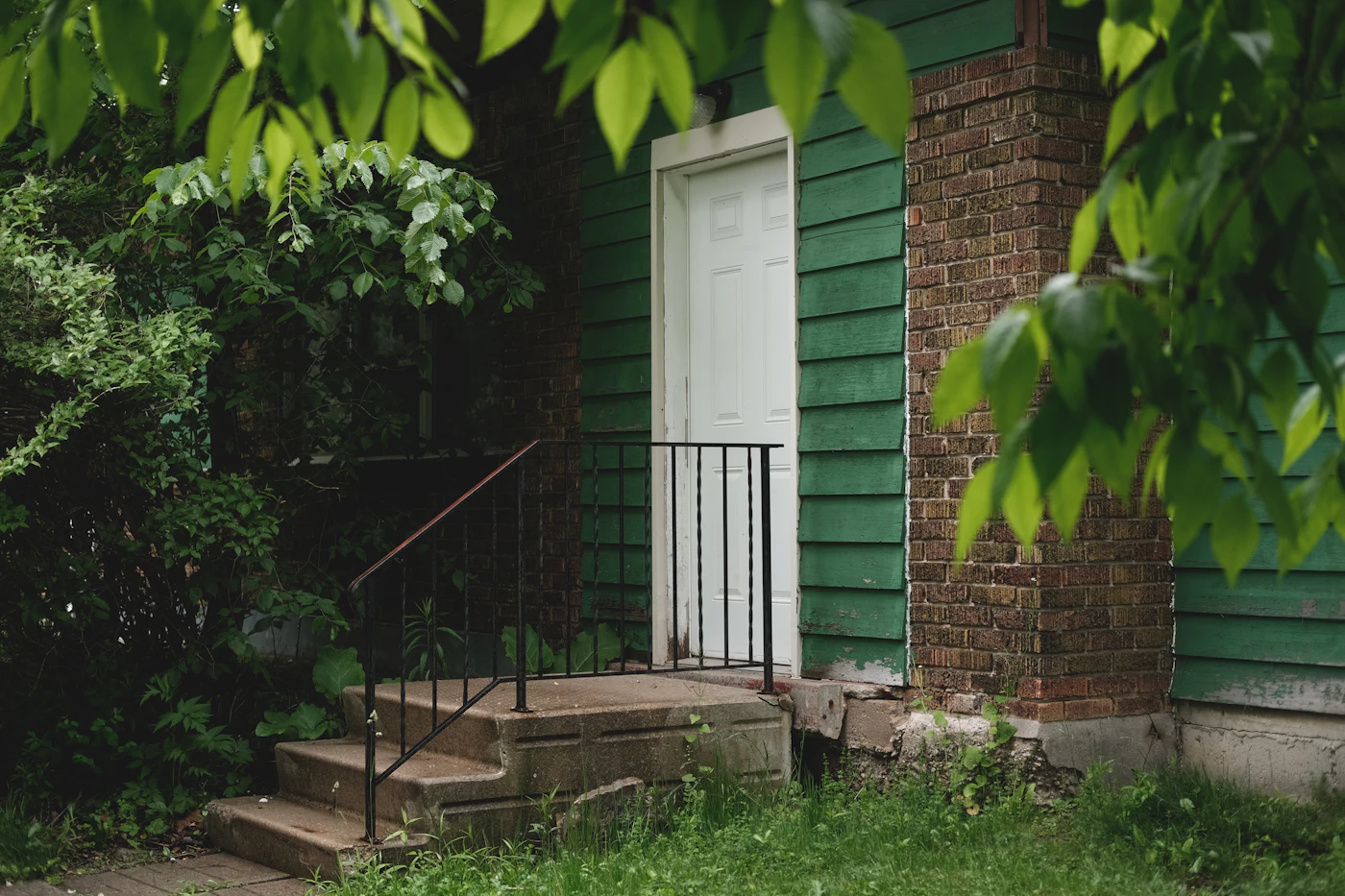 Editorial image for Common Mistakes People Make With Choosing Plants For A Front Entry And What To Do Instead