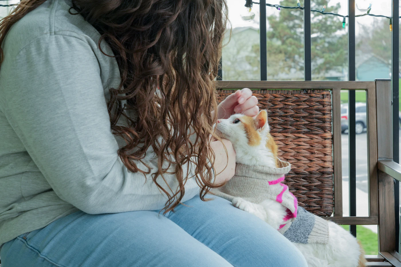 Editorial image for The Everyday Checklist That Takes The Guesswork Out Of Creating A Pet-Safe Balcony