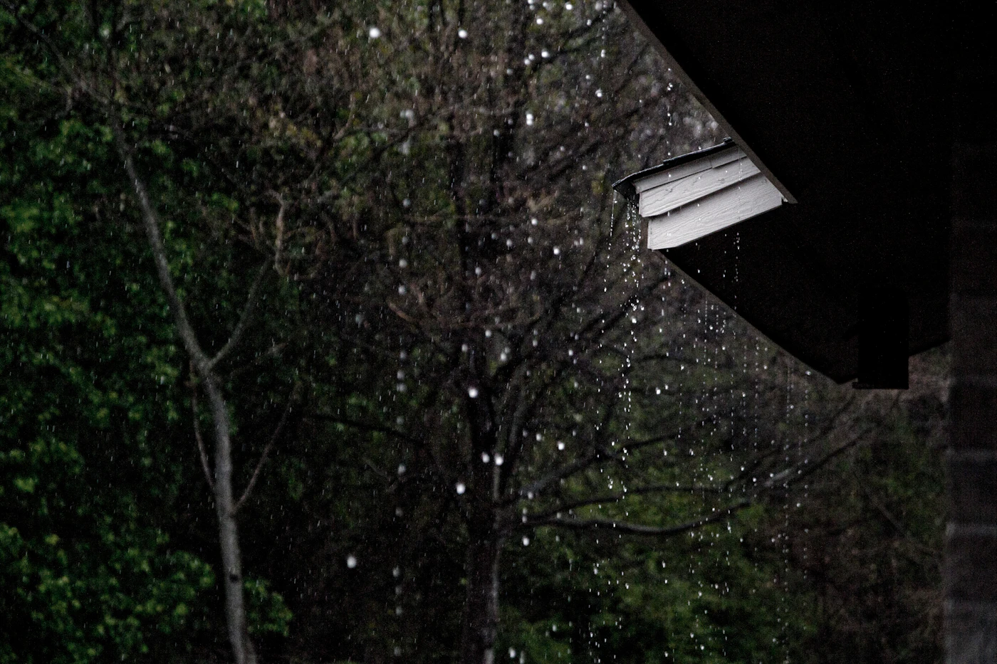Editorial image for What To Know Before You Start Preparing A Home For Heavy Rain