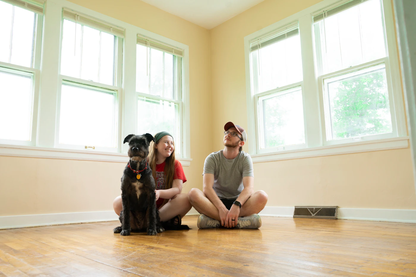 Editorial image for What To Know Before You Start Helping A Dog Settle Into A New Home
