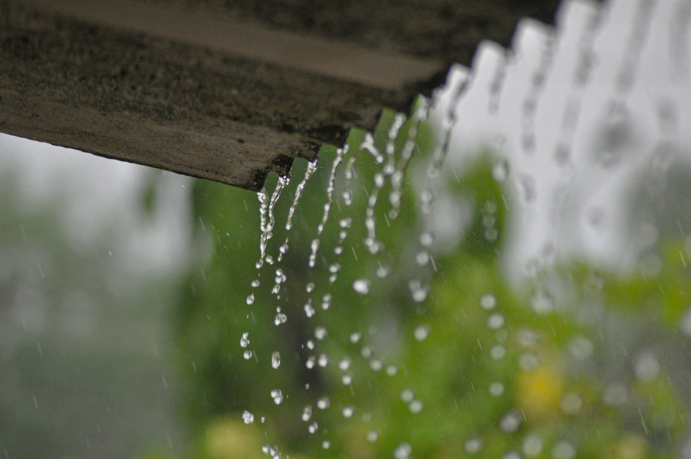 Editorial image for Early Problems To Watch For When Maintaining Rain Gutters