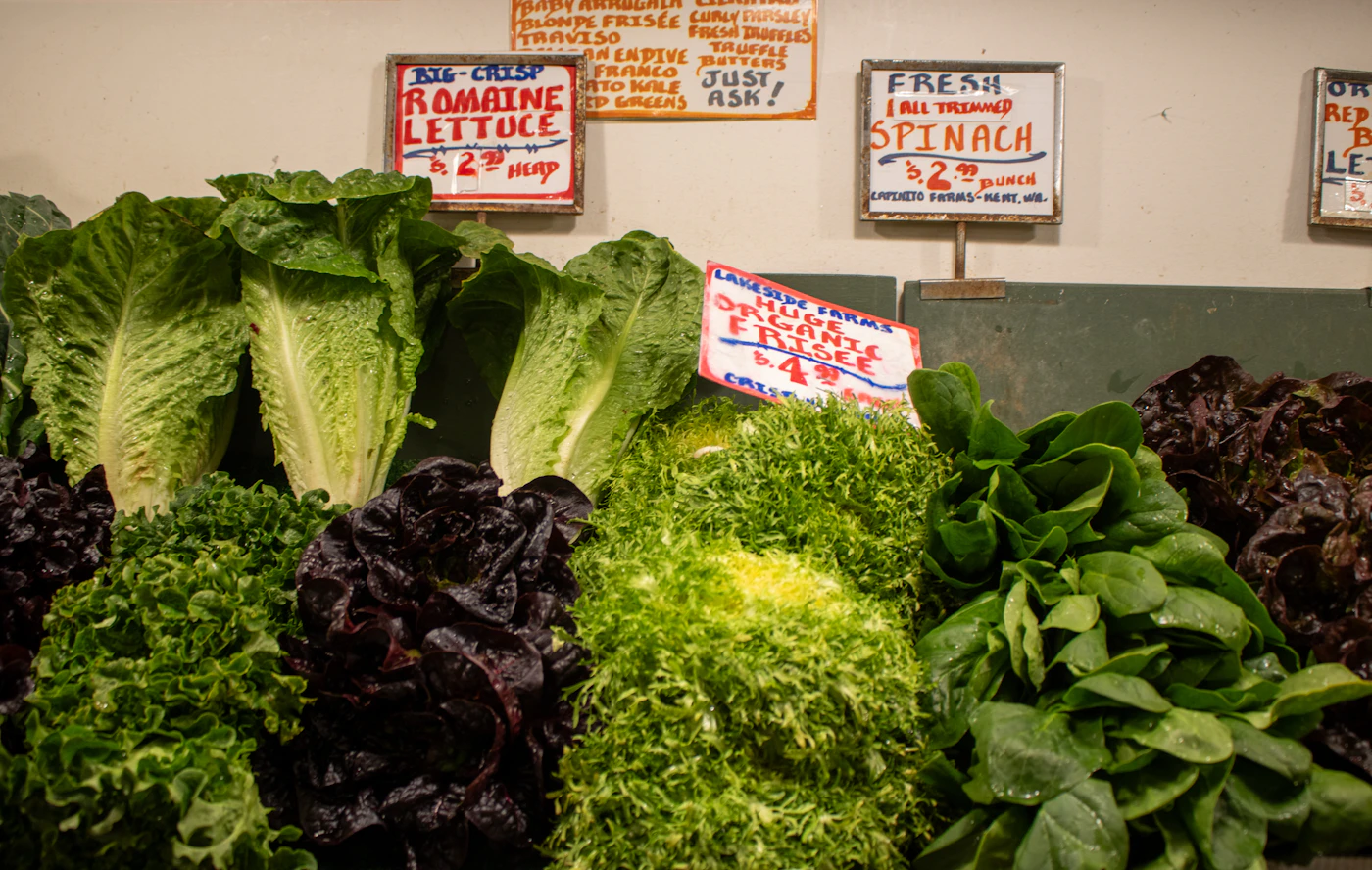 Editorial image for How To Get Better Results From Keeping Leafy Greens Fresh Without Spending More