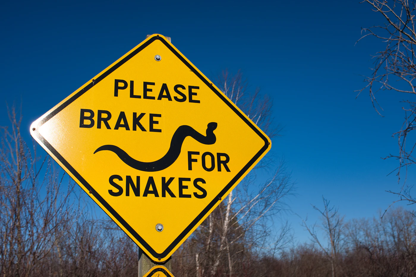 Editorial image for The Everyday Checklist That Takes The Guesswork Out Of Recognizing Unusual Brake Behavior