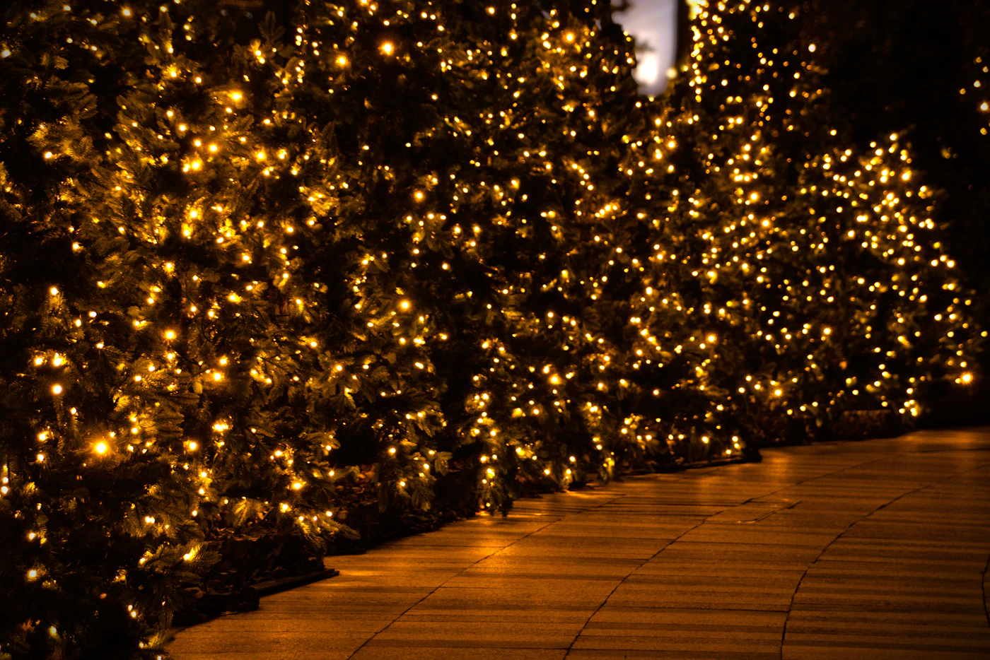 Editorial image for Early Problems To Watch For When Maintaining Outdoor Lighting
