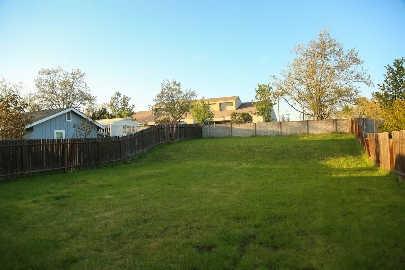 Editorial image for A Season-By-Season Approach To Caring For A Small Backyard Lawn
