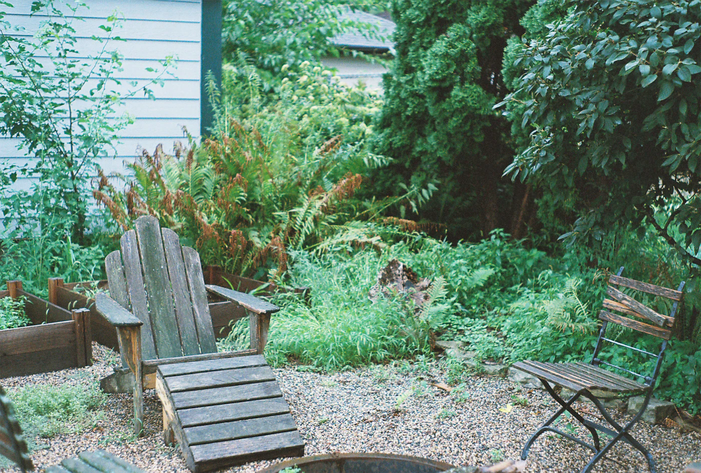Editorial image for What To Know Before You Start Creating Privacy In A Small Yard